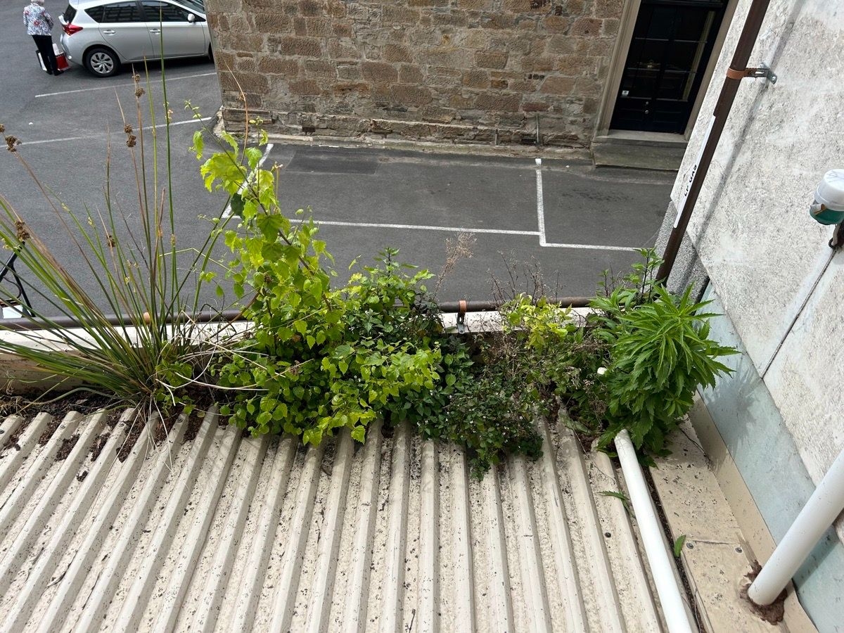 Gutter Repairs