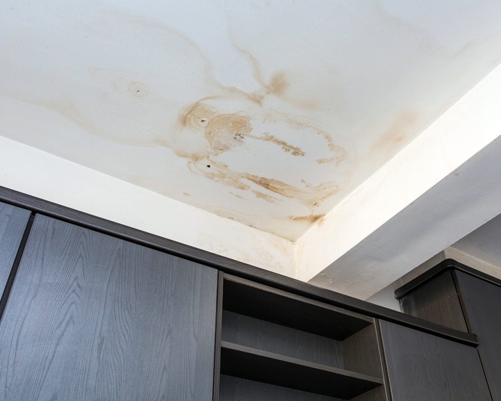 Learn the Top Techniques for DIY Roof Leak Repairs 