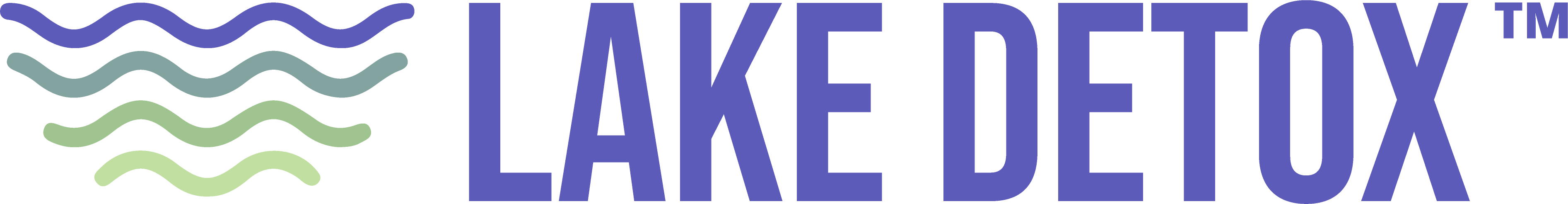 img/lake-detox-and-wellness-logo.png