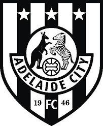 Adelaide City logo