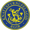 Aegir logo