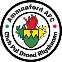 Ammanford logo