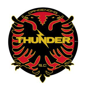 Dandenong Thunder logo
