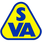 Delmenhorst logo