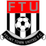 Flint logo