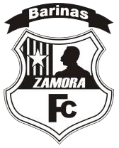 Zamora logo