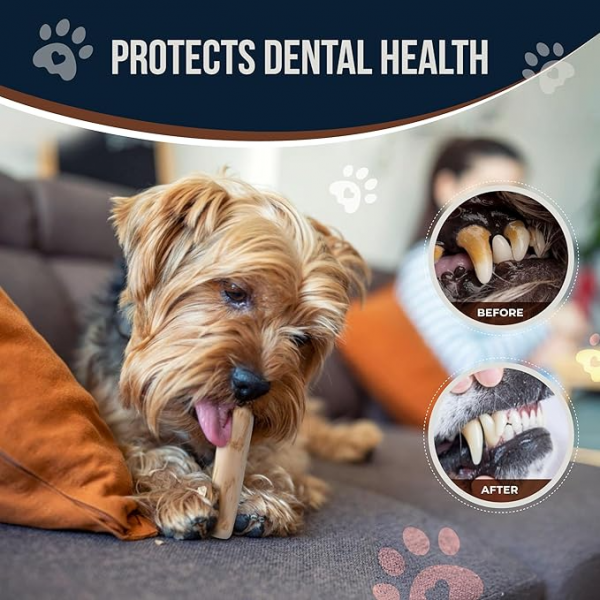 Real Coffee Wood Chews for Dogs & Dog Rope Toys, 100% Natural Chew for Dogs - Organic Stick for Teeth Cleaning, Training - Wood Stick for Medium & Large Dogs - Size M