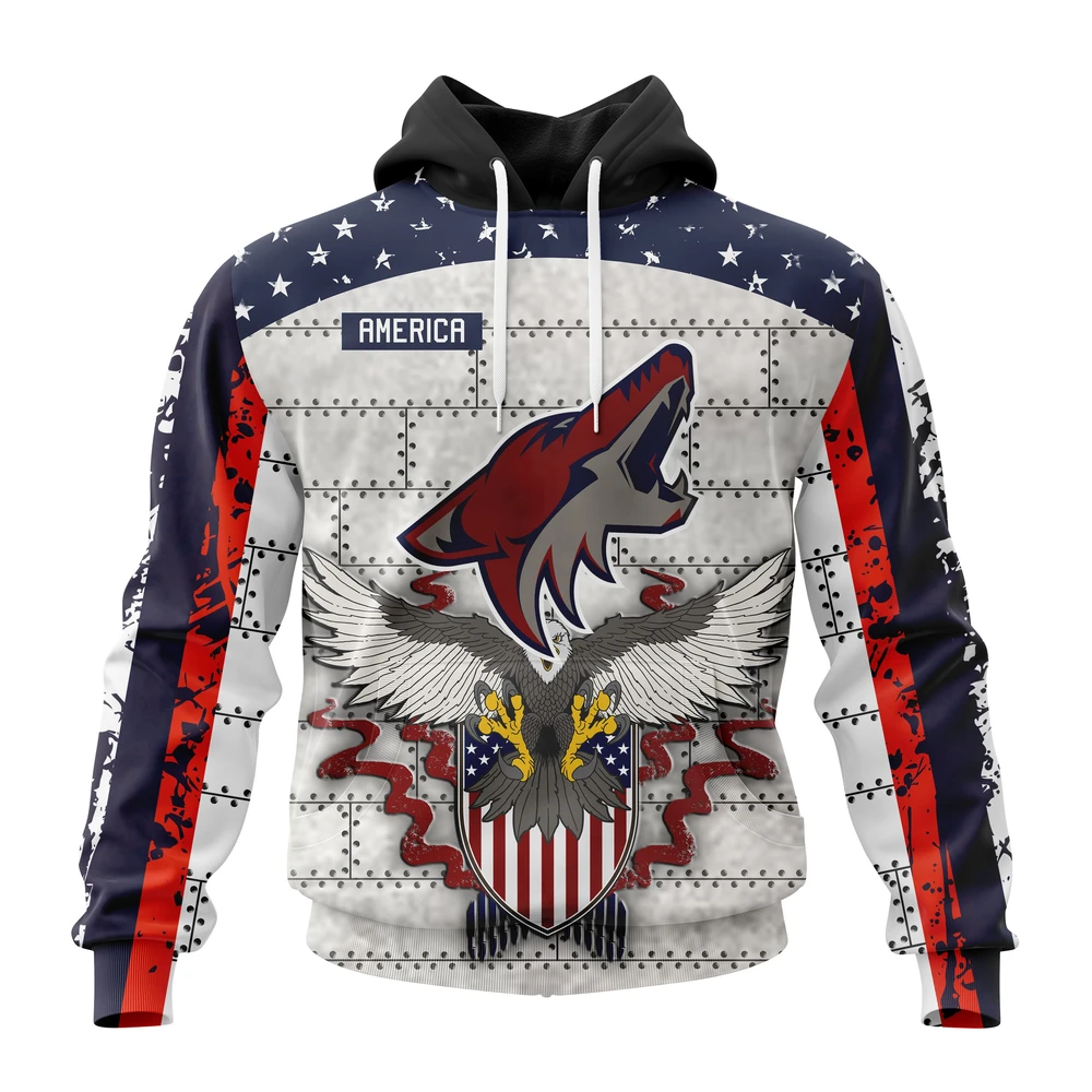 Hoodie NHL Arizona Coyotes, Specialized Unisex In Us Concepts V0222 QTNHL080524A2897HD
