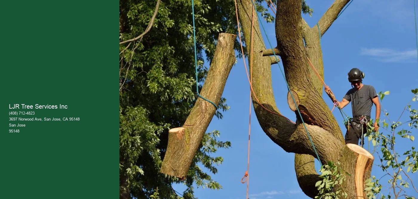 Tree care certification