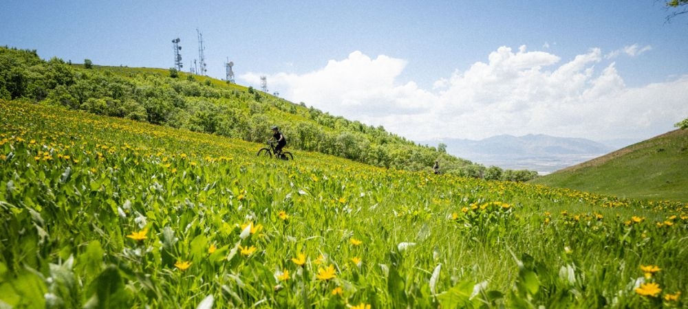Best Mtb Wheels