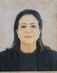 Dalma Aparecida dos Santos Noviski