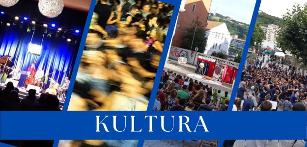 KULTUR ZERBITZUEI BURUZKO INKESTA