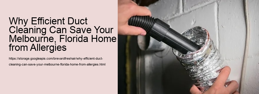 Why Efficient Duct Cleaning Can Save Your Melbourne, Florida Home from Allergies