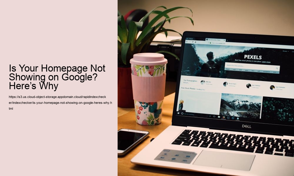 Is Your Homepage Not Showing on Google? Here’s Why