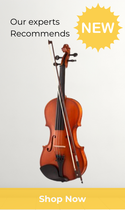 Expert recommendation- Violin