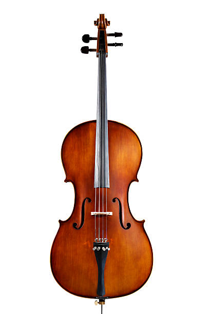 Instrument media