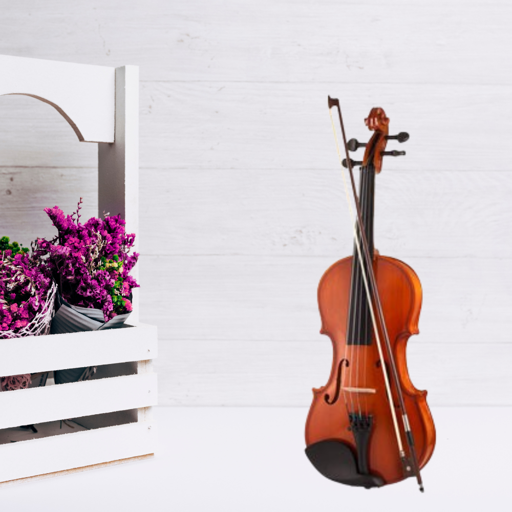 Violin