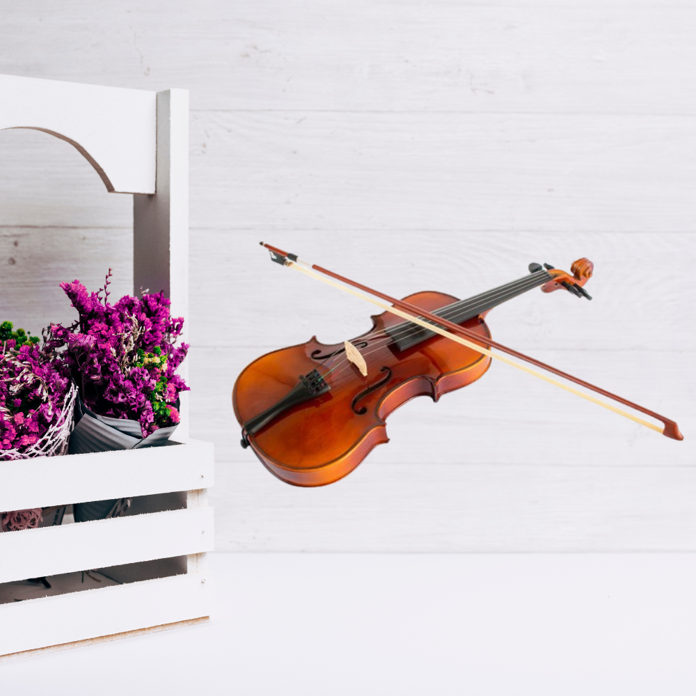 Violin