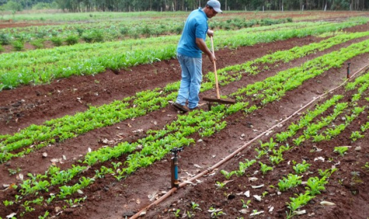 Governo estrutura cadeia produtiva e beneficia 70 mil famílias de pequenos agricultores
