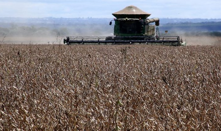 Mato Grosso do Sul tem a 5ª maior produção de grãos do país, com 19,9 milhões de toneladas