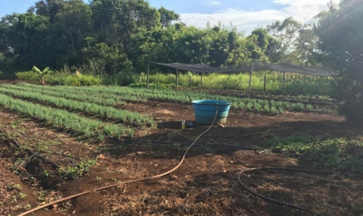 Com compra de alimentos do PAA, Maracaju fortalece agricultura familiar.