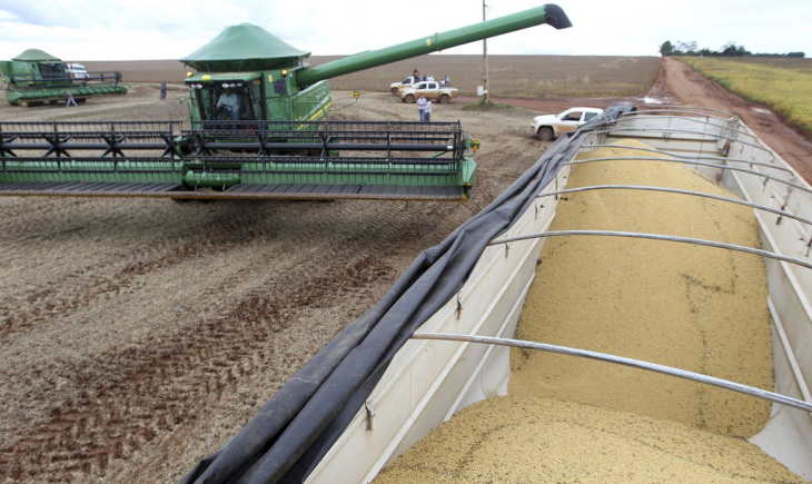 Safra de grãos deve ser 4,2% superior à produção de 2019, diz IBGE.