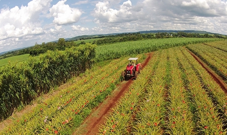 Contratação do crédito agrícola cresce 45% no primeiro bimestre