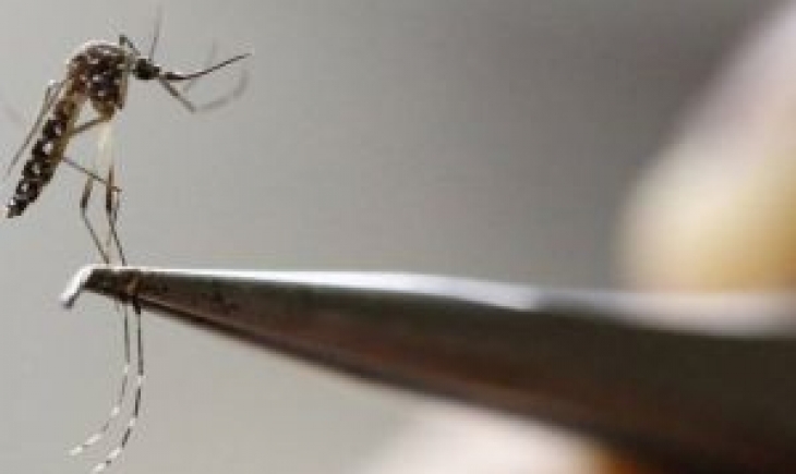 Duas novas mortes por dengue são confirmadas em Mato Grosso do Sul