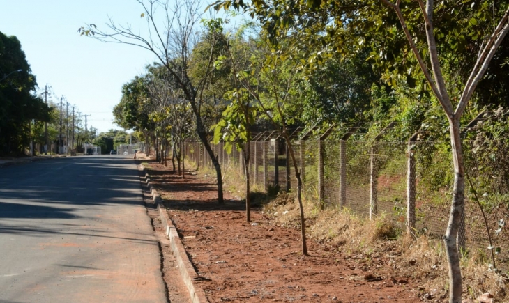 Campo Grande: Após críticas, calçada construída  em zigue-zague é retirada