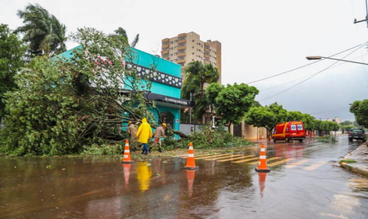 Prefeitura de Maracaju organiza limpeza e retirada de árvores danificadas devido ao forte temporal