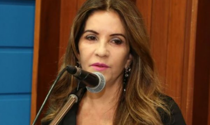Lei criada pela Deputada Antonieta Amorim, faz com que mulheres ganhem política para fortalecer ações em MS.