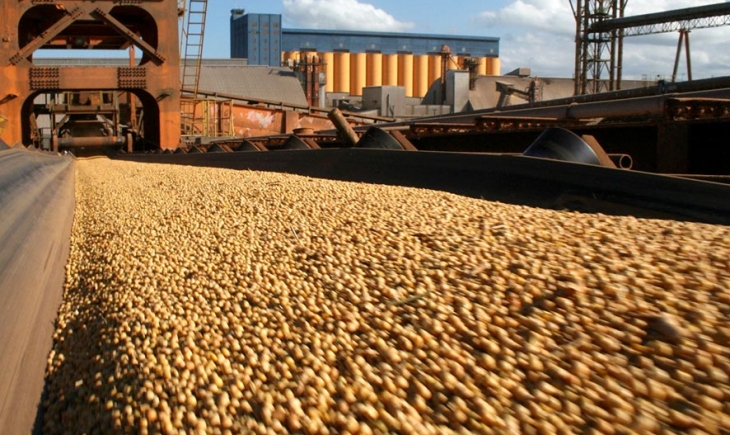 Complexo soja impulsiona exportações em 39,9%