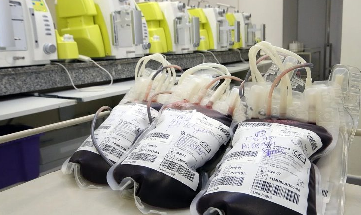 Junho Vermelho: Doações de sangue e medula óssea são esperança de vida