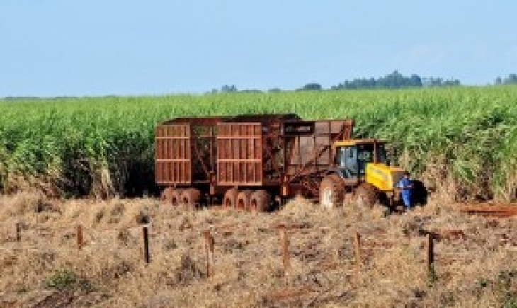 Produção de cana em Mato Grosso do Sul  surpreende e avança 5,1%