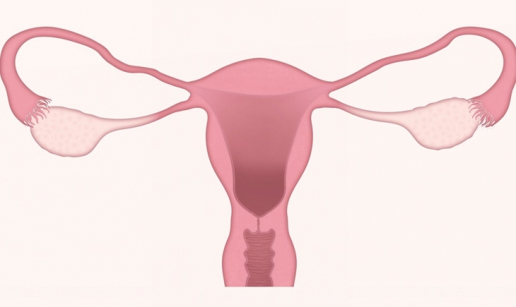 O que acontece com o corpo da mulher quando entra na menopausa