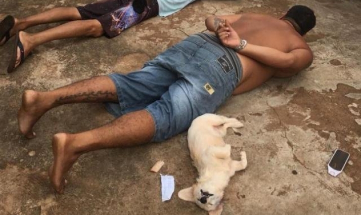 Deodápolis: Cachorrinha dramática “se entrega” durante a prisão do dono por tráfico