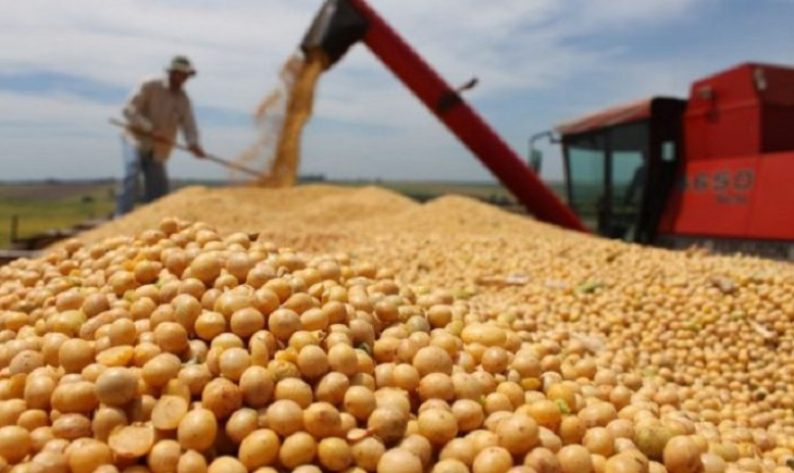 Estiagem provocou queda de 34,6% e Estado conclui safra da soja com 8,6 milhões de toneladas colhidas