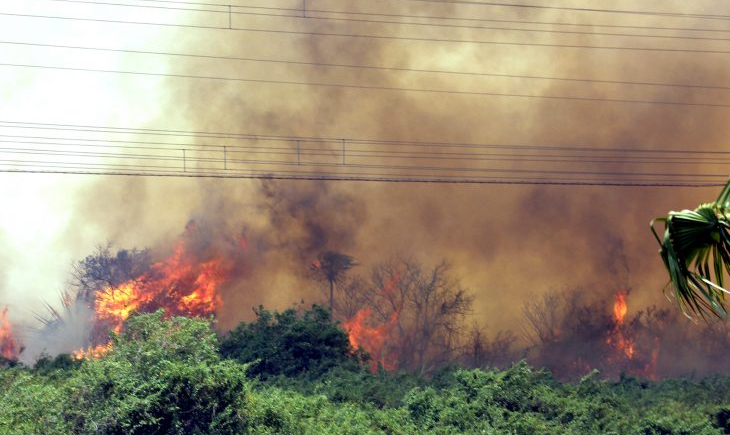 Reinaldo Azambuja decreta estado de emergência no Pantanal devido incêndios