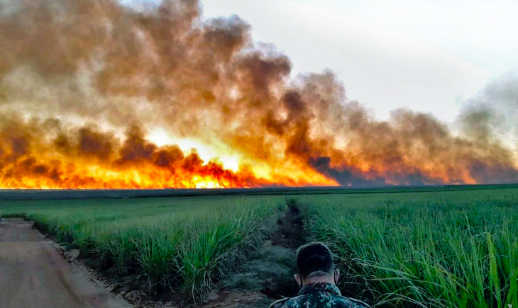 Com incêndio se propagando no Pantanal, tempo seco será crítico em MS até setembro