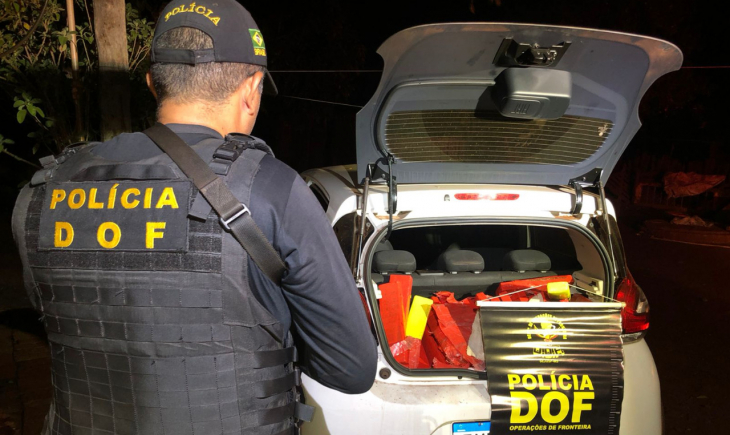 Mais de 670 quilos de drogas foram apreendidos pelo DOF em Douradina