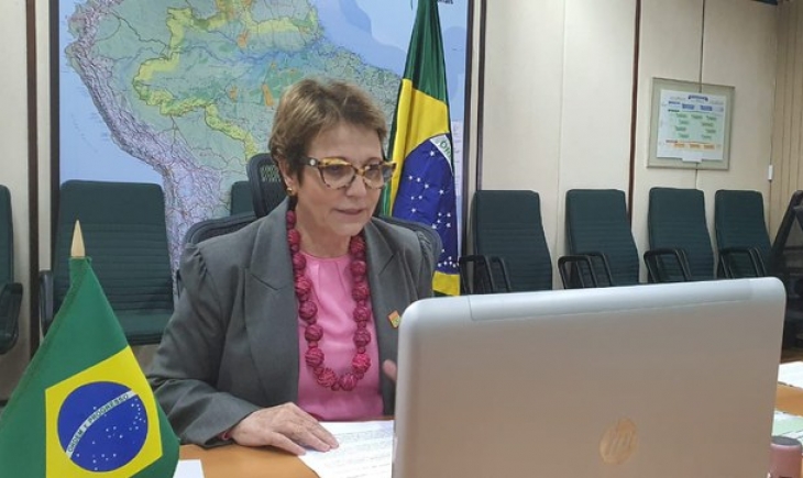 Em videoconferência com ministros das Américas, Tereza Cristina destaca ações do governo federal contra efeitos do coronavírus na agropecuária