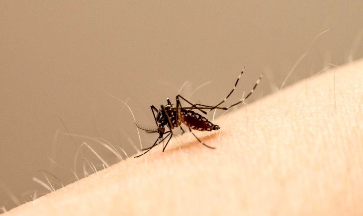 Em 7 meses, dengue não matou em MS, mas quase 3,6 mil tiveram a doença.
