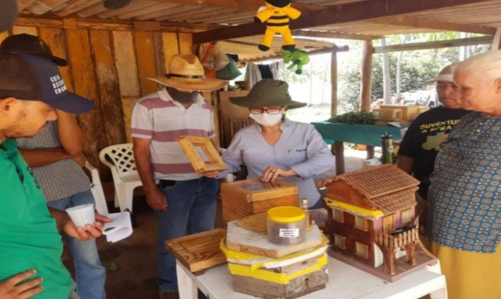Agraer leva instruções sobre o manejo de abelhas para assentamentos do interior do Estado