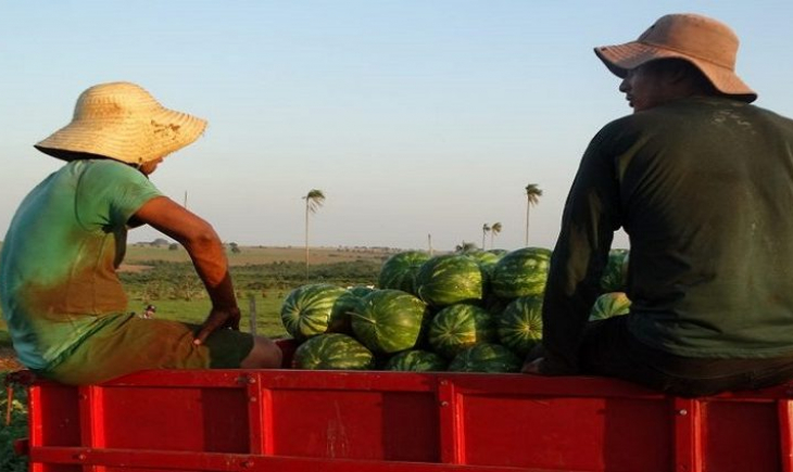 Agricultura familiar: caminhões são para conservação de estradas em mais 10 municípios