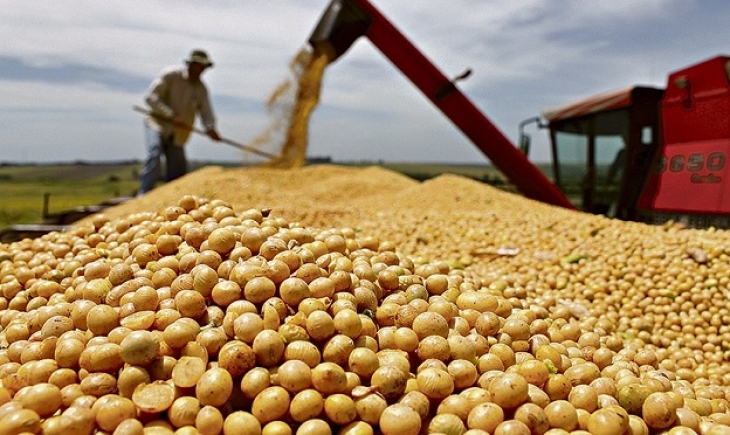 Aprovado relatório que regula compensação de perdas com desoneração das exportações de grãos