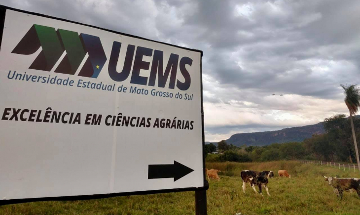 Rodovia que dá acesso à UEMS de Aquidauana precisa de manutenção urgente, diz Felipe