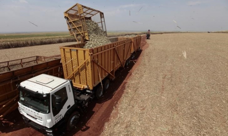 Usina Biosev – Unidade Passatempo de Rio Brilhante abre vagas para profissionais de Maracaju e fornecerá transporte, saiba mais.