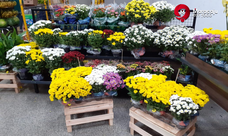 Supermercados Estrela reforça setor de flores para o Dia de Finados.
