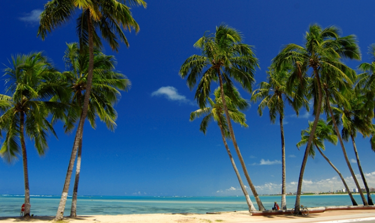 Dica: Conheça as praias paradisíacas de Maceió em Alagoas com a “Viaje Sempre”. 