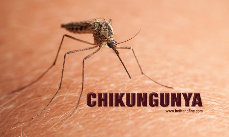 Município aguarda resultados laboratoriais de 12 suspeitas de chikungunya